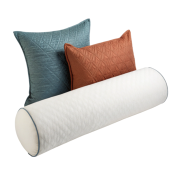 De Ontwikkeling van Kussens en Bolsters